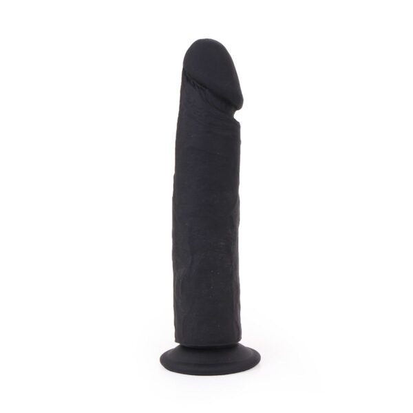 Dildo Hochfrottspitze 23 5 x 5