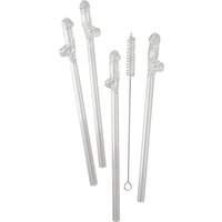 5-teilliges Strohhalm-Set „Glass Drinking Straw Willy“