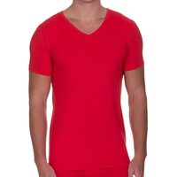 Bruno Banani Check Line 2.0: V-Neck-Shirt