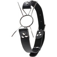 Fetish Fantasy Extreme Spider Gag: Ringknebel