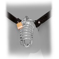 Fetish Fantasy Extreme Chastity Belt: Peniskäfig mit Hüftgurt