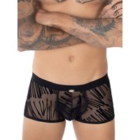 Eros Veneziani Edoardo: Push-up Boxer