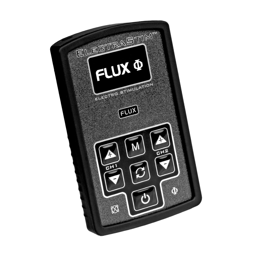 ElectraStim FLUX Steuereinheit 1 ElectraStim FLUX Steuereinheit