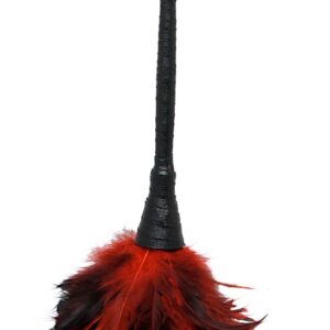 Frisky Feather Duster Federstab Schwarz