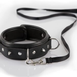 Halsband mit Spikes und Leine
