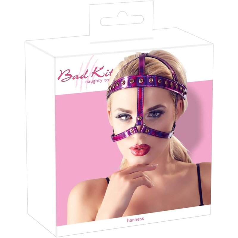 Kopfgeschirr 1 Kopfgeschirr