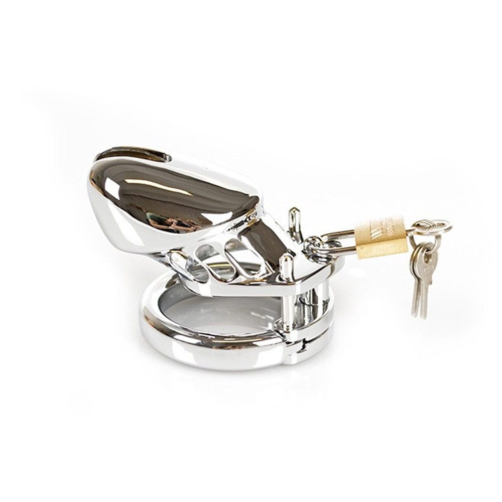 Peniskäfig Eichel 1 Peniskäfig Eichel