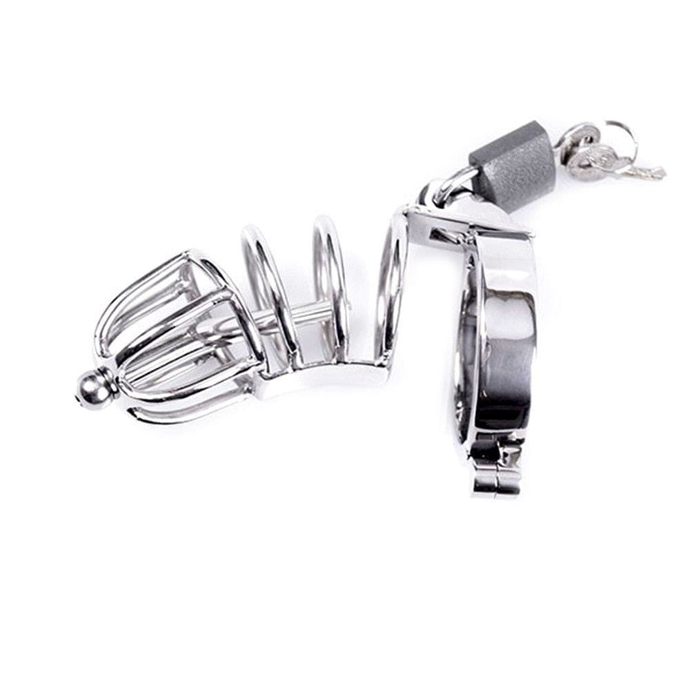 Peniskäfig mit Schloss 1 Peniskäfig mit Schloss