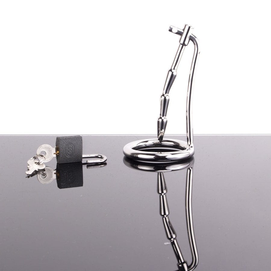 Penisplug mit Penisring 1 Penisplug mit Penisring