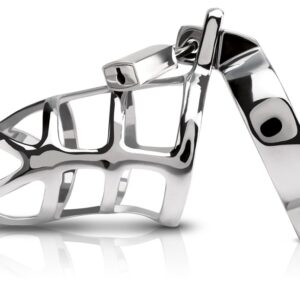 Peniskäfig mit Hodenring inklusive Schloss und Schlüssel Metal Wörx Silber