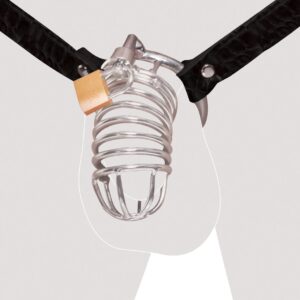 Peniskäfig mit verstellbarem Hüftgurt und Hodenring Fetish Fantasy Extreme Silbe...