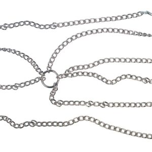 Zaumzeug mit Klemmen Silber